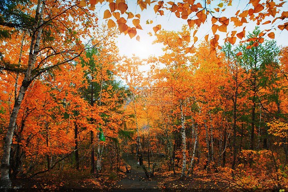 環(huán)氧粉末防腐鋼管(環(huán)氧粉末防腐鋼管廠家)