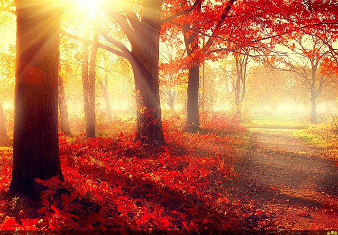 環(huán)氧粉末防腐鋼管廠家+前10(管道防腐環(huán)氧粉末廠) 環(huán)氧粉末防腐鋼管廠家+前10(管道防腐環(huán)氧粉末廠)