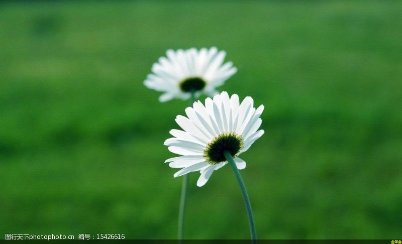 聚氨酯保溫鋼管執(zhí)行標準(聚氨酯保溫鋼管生產(chǎn)廠家)