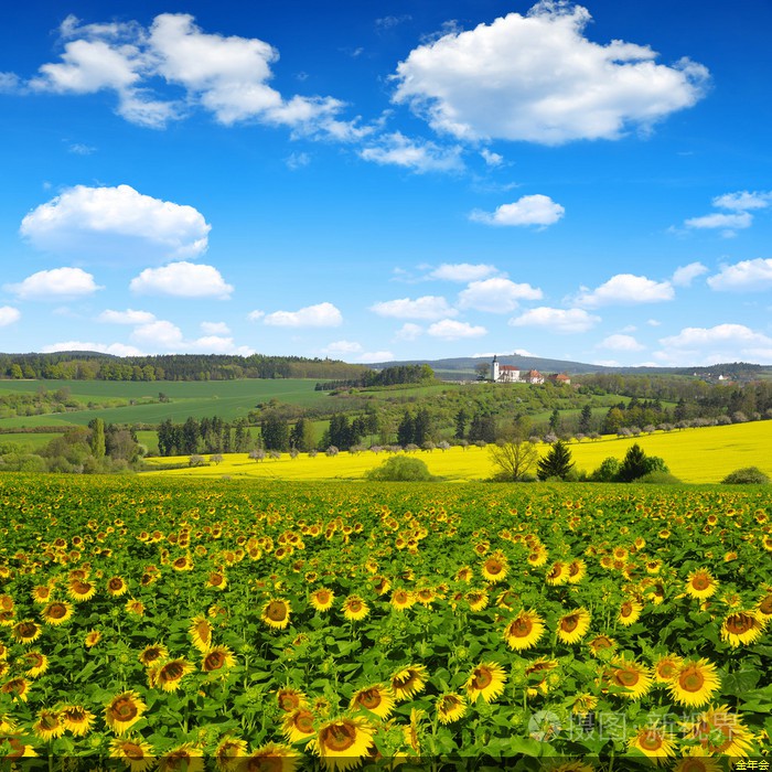 鋼套鋼保溫鋼管介紹(保溫套管價(jià)格) 鋼套鋼保溫鋼管介紹(保溫套管價(jià)格)