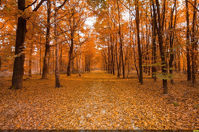 鋼套鋼保溫鋼管的用途(鋼制套管的圖片)