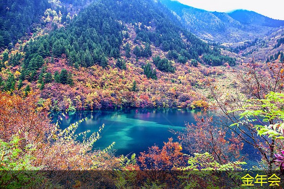 tpep防腐鋼管的價(jià)格走勢分析 tpep防腐鋼管的價(jià)格走勢分析