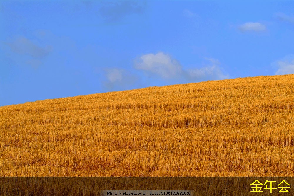 tpep防腐鋼管的供應鏈優(yōu)化策略 tpep防腐鋼管的供應鏈優(yōu)化策略