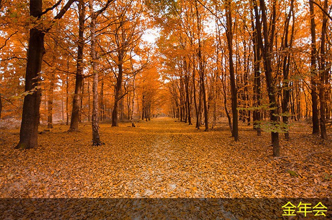 tpep防腐鋼管的創(chuàng)新技術介紹 tpep防腐鋼管的創(chuàng)新技術介紹