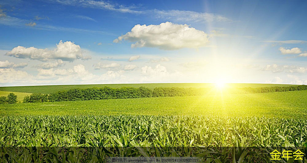 tpep防腐鋼管的行業(yè)應(yīng)用前景