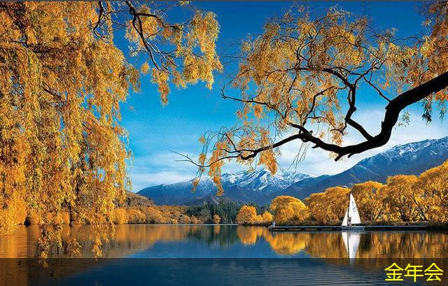 水泥砂漿防腐鋼管的市場趨勢分析