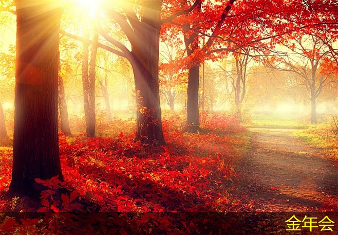 tpep防腐鋼管的市場(chǎng)需求預(yù)測(cè)