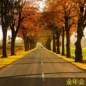 tpep防腐鋼管的應用效果評估