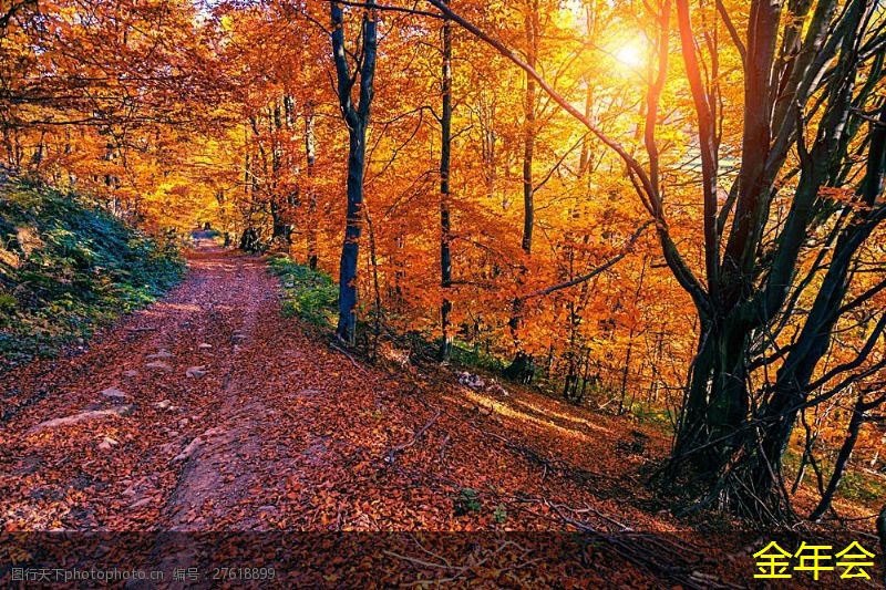 tpep防腐鋼管的技術(shù)標(biāo)準(zhǔn)介紹