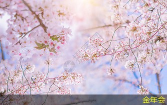 tpep防腐鋼管的環(huán)保設(shè)計理念