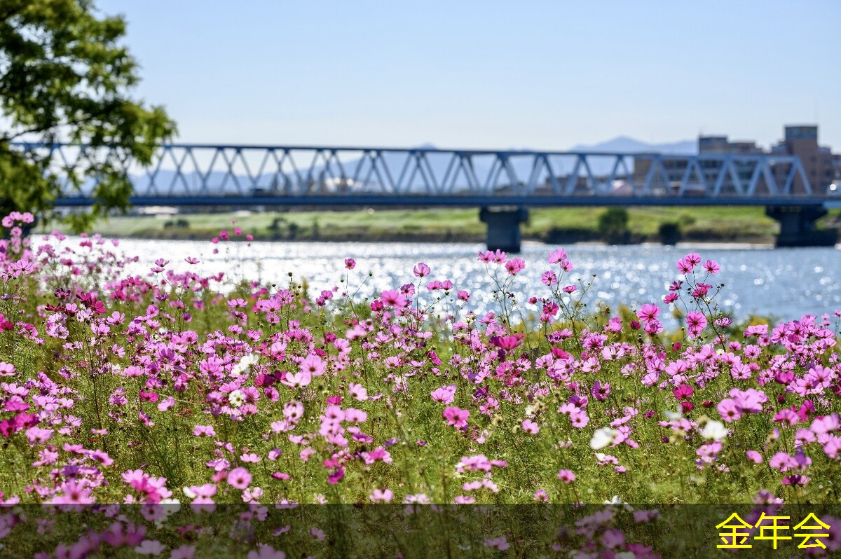 tpep防腐鋼管的維護保養(yǎng)要點