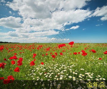 tpep防腐鋼管的維護和修復(fù)方法