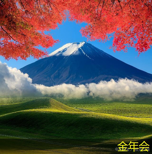 tpep防腐鋼管的設(shè)計(jì)創(chuàng)新探討