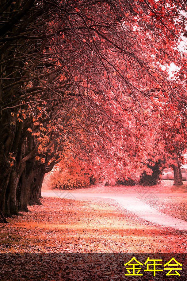 水泥砂漿防腐鋼管的市場需求預(yù)測