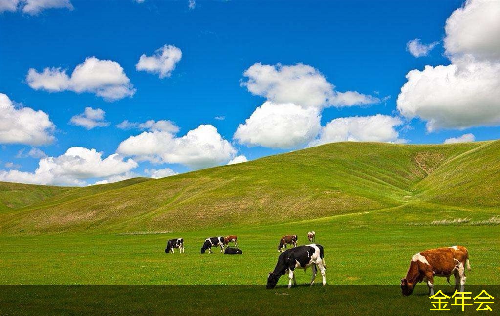 水泥砂漿防腐鋼管的技術(shù)支持服務(wù)