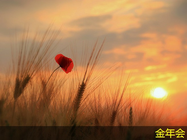 水泥砂漿防腐鋼管的檢測方法