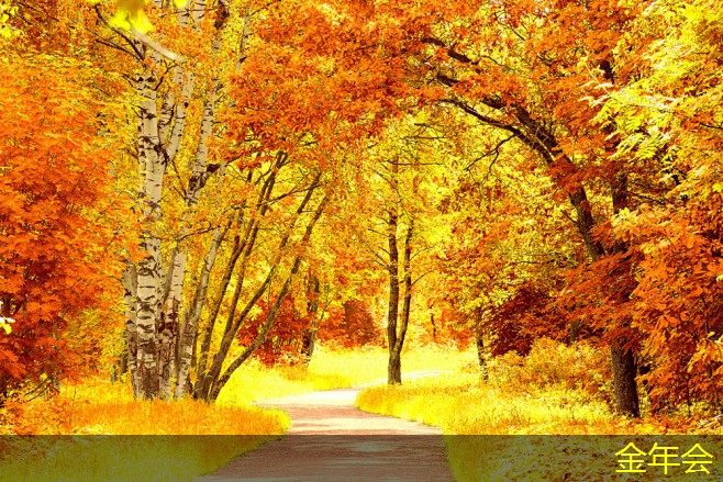 環(huán)氧煤瀝青防腐鋼管的市場(chǎng)現(xiàn)狀與前景