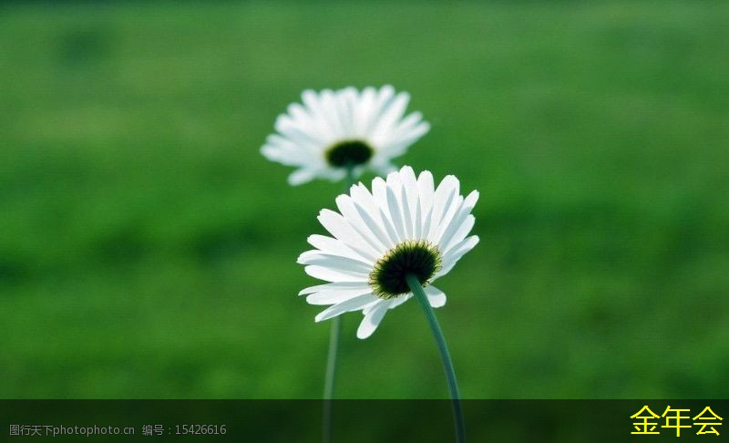 環(huán)氧煤瀝青防腐鋼管的生產(chǎn)流程優(yōu)化