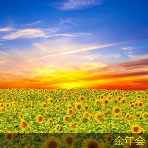 涂塑鋼管的市場(chǎng)前景與發(fā)展趨勢(shì)