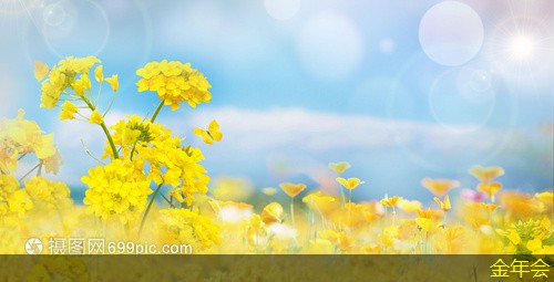 涂塑鋼管的市場需求動(dòng)態(tài)