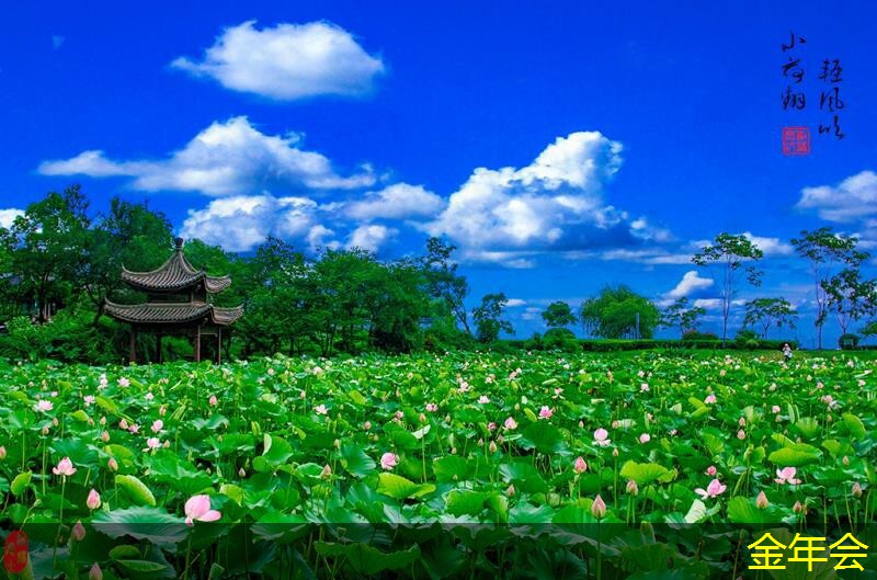 涂塑鋼管的市場(chǎng)需求預(yù)測(cè)