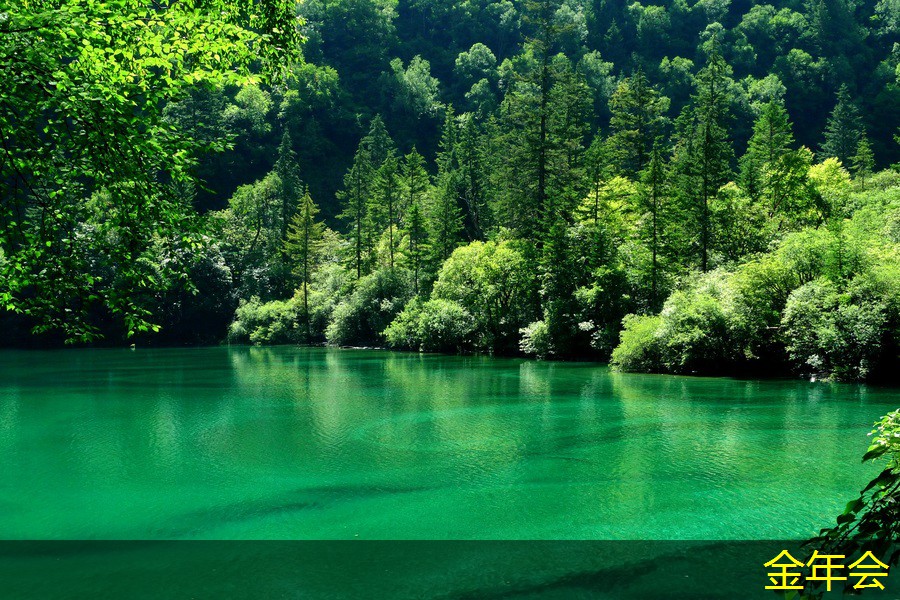 環(huán)氧煤瀝青防腐鋼管的市場(chǎng)價(jià)格走勢(shì)