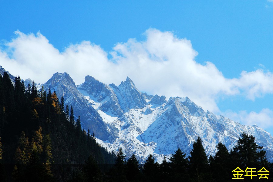 環(huán)氧煤瀝青防腐鋼管的檢驗與測試方法