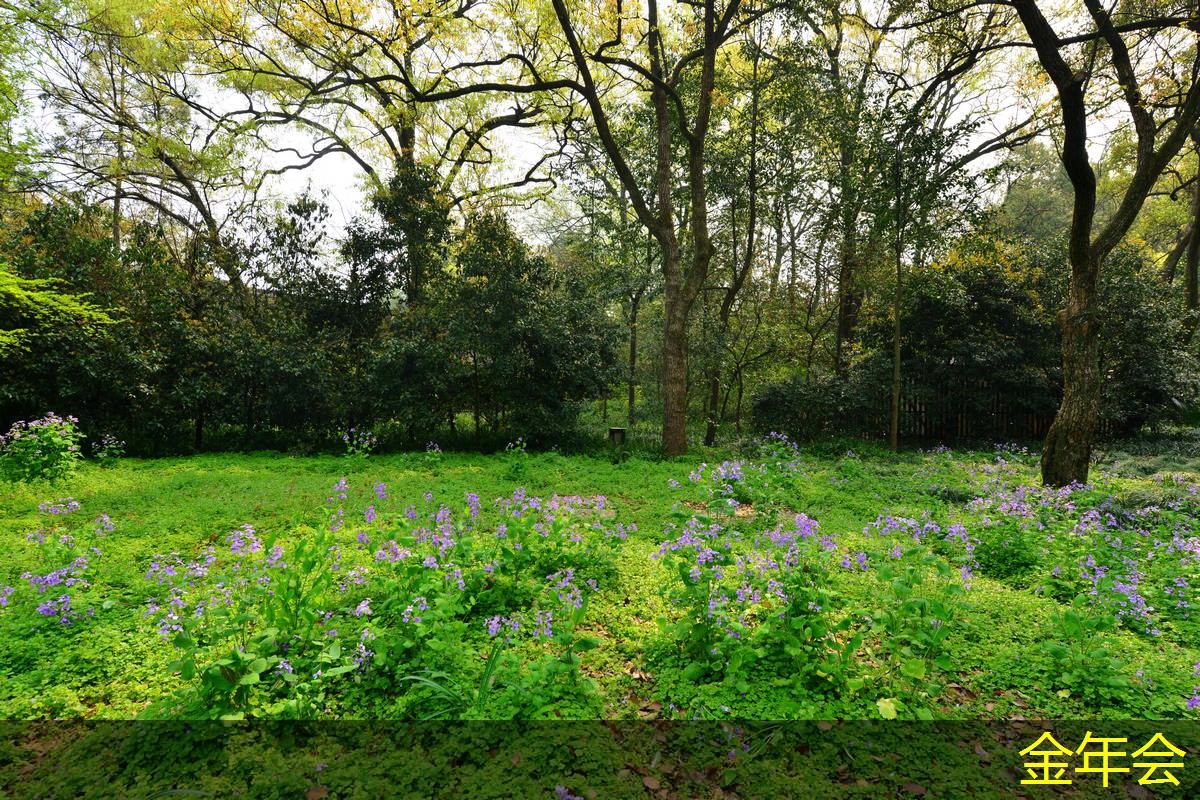 涂塑鋼管的耐壓能力分析 涂塑鋼管的耐壓能力分析