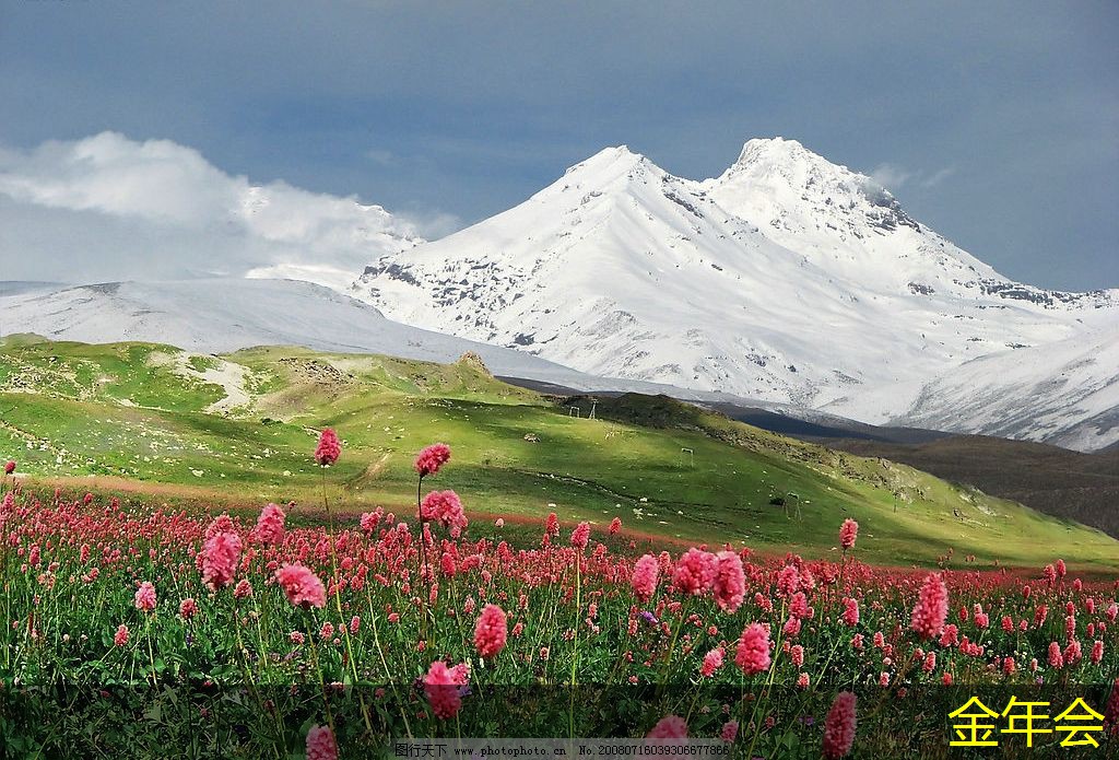 涂塑鋼管的行業(yè)應(yīng)用分析