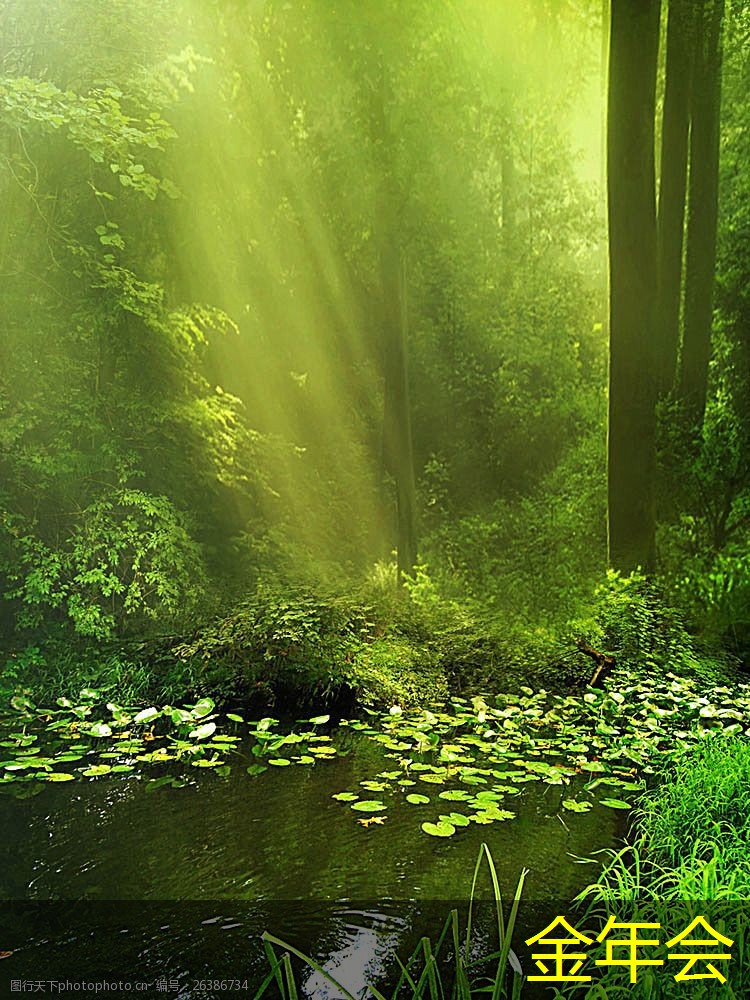 環(huán)氧煤瀝青防腐鋼管在市政工程中的應(yīng)用