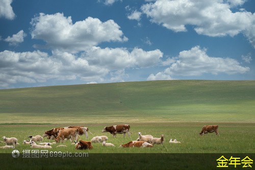 環(huán)氧煤瀝青防腐鋼管的使用條件與限制