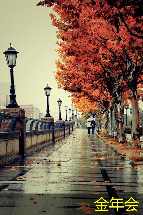 環(huán)氧煤瀝青防腐鋼管的環(huán)保性能評(píng)價(jià)