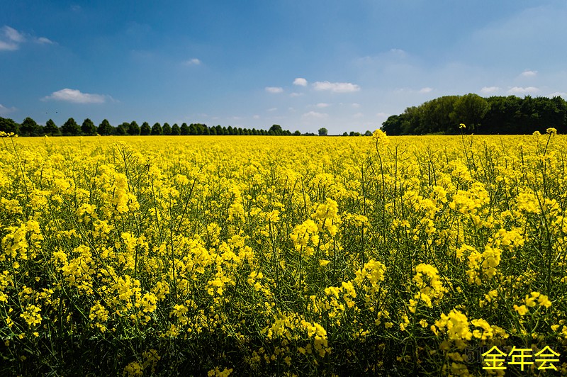 環(huán)氧煤瀝青防腐鋼管的防腐蝕技術(shù)應(yīng)用 環(huán)氧煤瀝青防腐鋼管的防腐蝕技術(shù)應(yīng)用