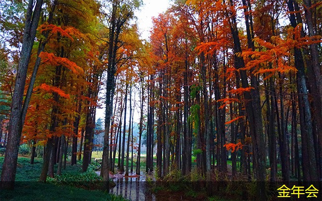 環(huán)氧粉末防腐鋼管標(biāo)準(zhǔn)在工程中的重要性