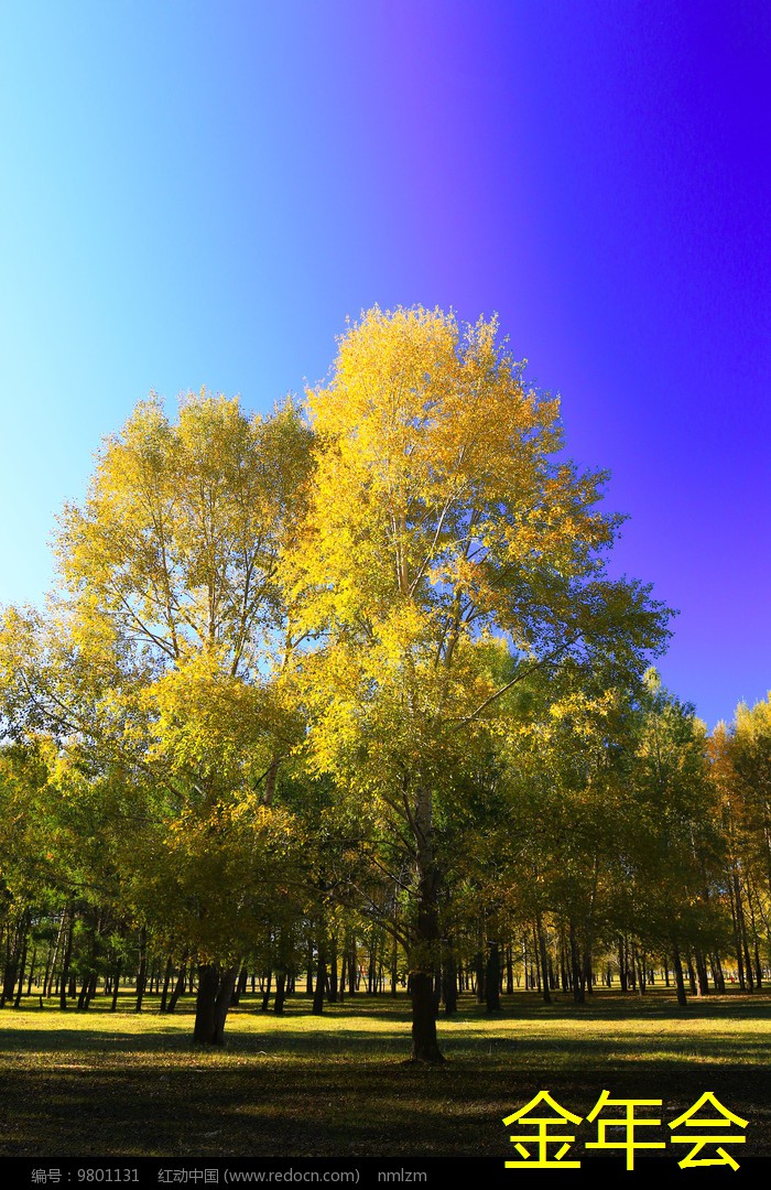 環(huán)氧粉末防腐鋼管的主要標(biāo)準(zhǔn)規(guī)定