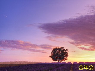 環(huán)氧粉末防腐鋼管的應(yīng)用案例介紹