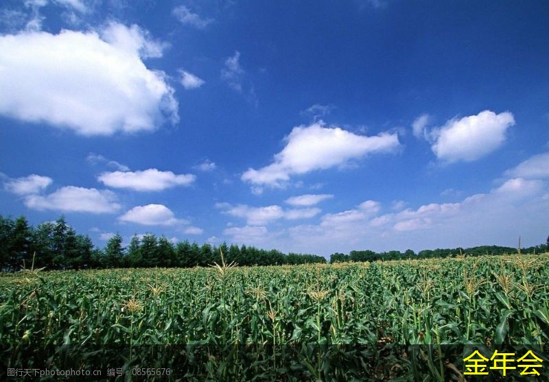 環(huán)氧粉末防腐鋼管的標(biāo)準(zhǔn)測(cè)試與評(píng)估