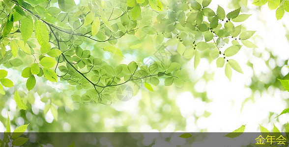 鋼套鋼保溫鋼管的保溫材料選擇