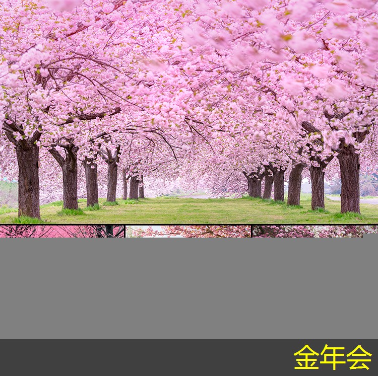 鋼套鋼保溫鋼管的技術(shù)規(guī)范介紹 鋼套鋼保溫鋼管的技術(shù)規(guī)范介紹